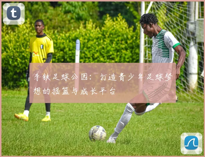 李铁足球公园：打造青少年足球梦想的摇篮与成长平台