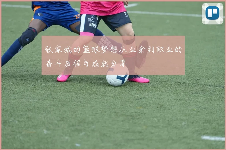 张家城的篮球梦想从业余到职业的奋斗历程与成就分享